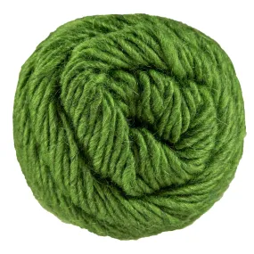 Brown Sheep Lamb's Pride Worsted Yarn - M191 - Kiwi