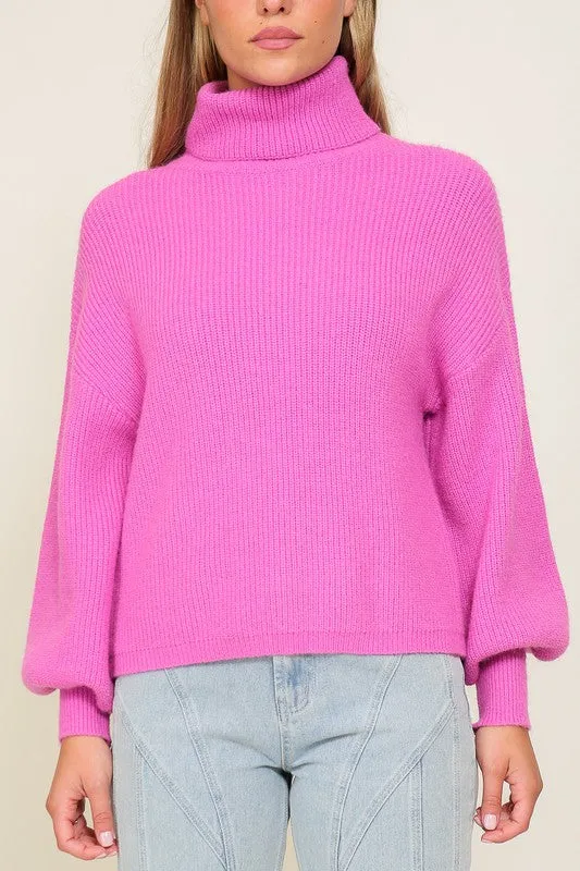 Louise Rib Knitted Turtleneck Sweater