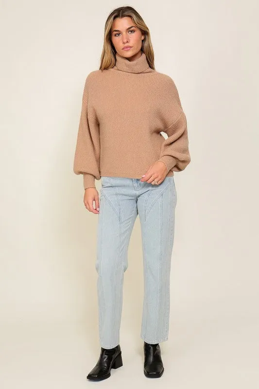 Louise Rib Knitted Turtleneck Sweater