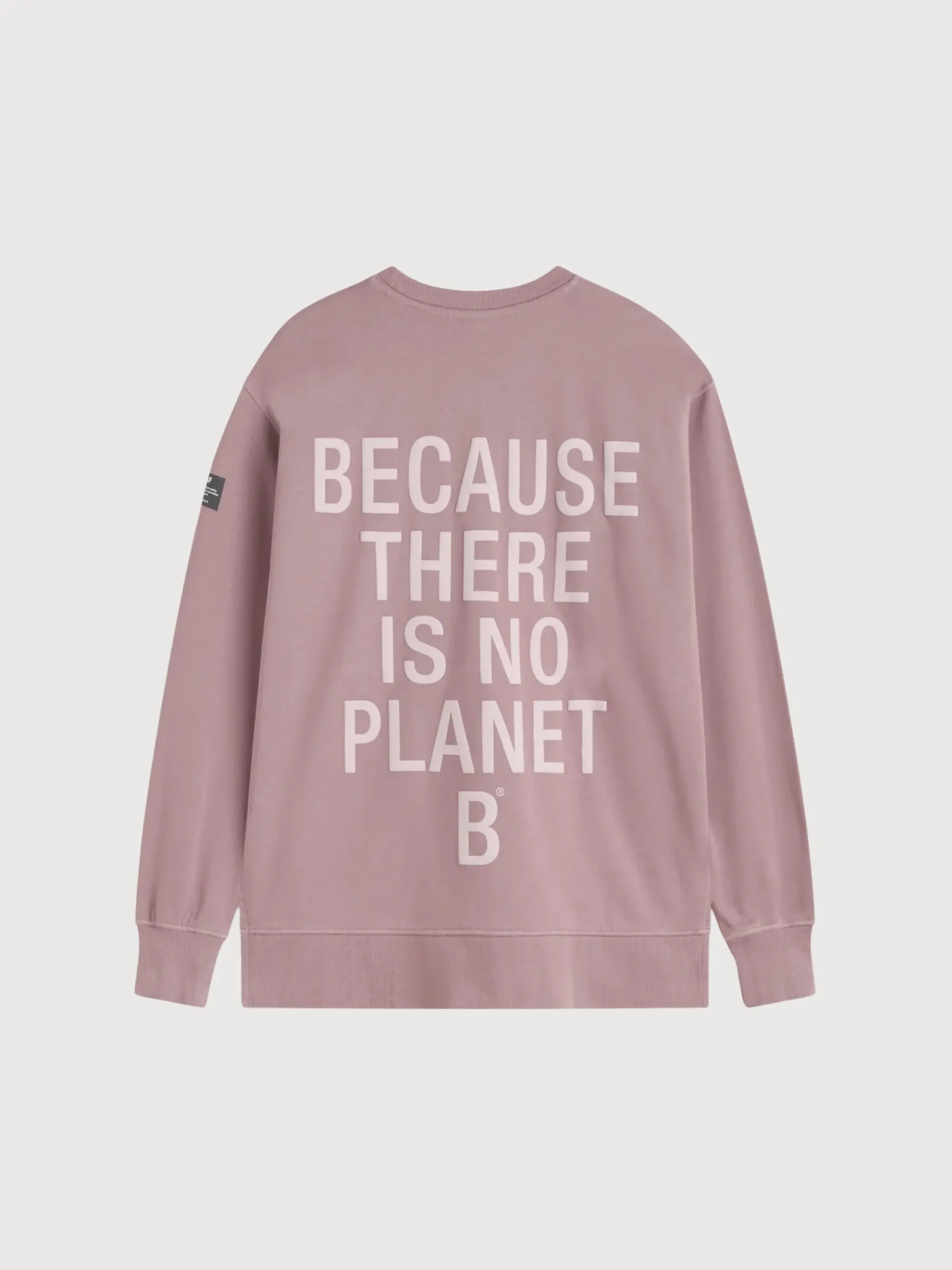 Storm Sweatshirt Woman Light Mauve | Ecoalf